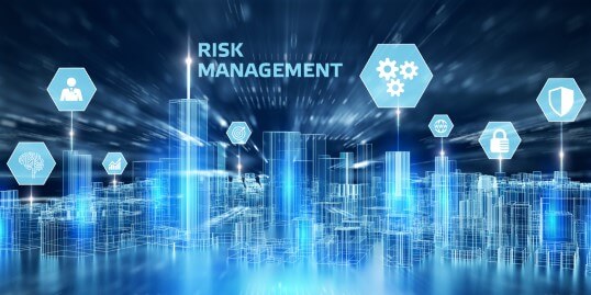 Process Execution - risk management